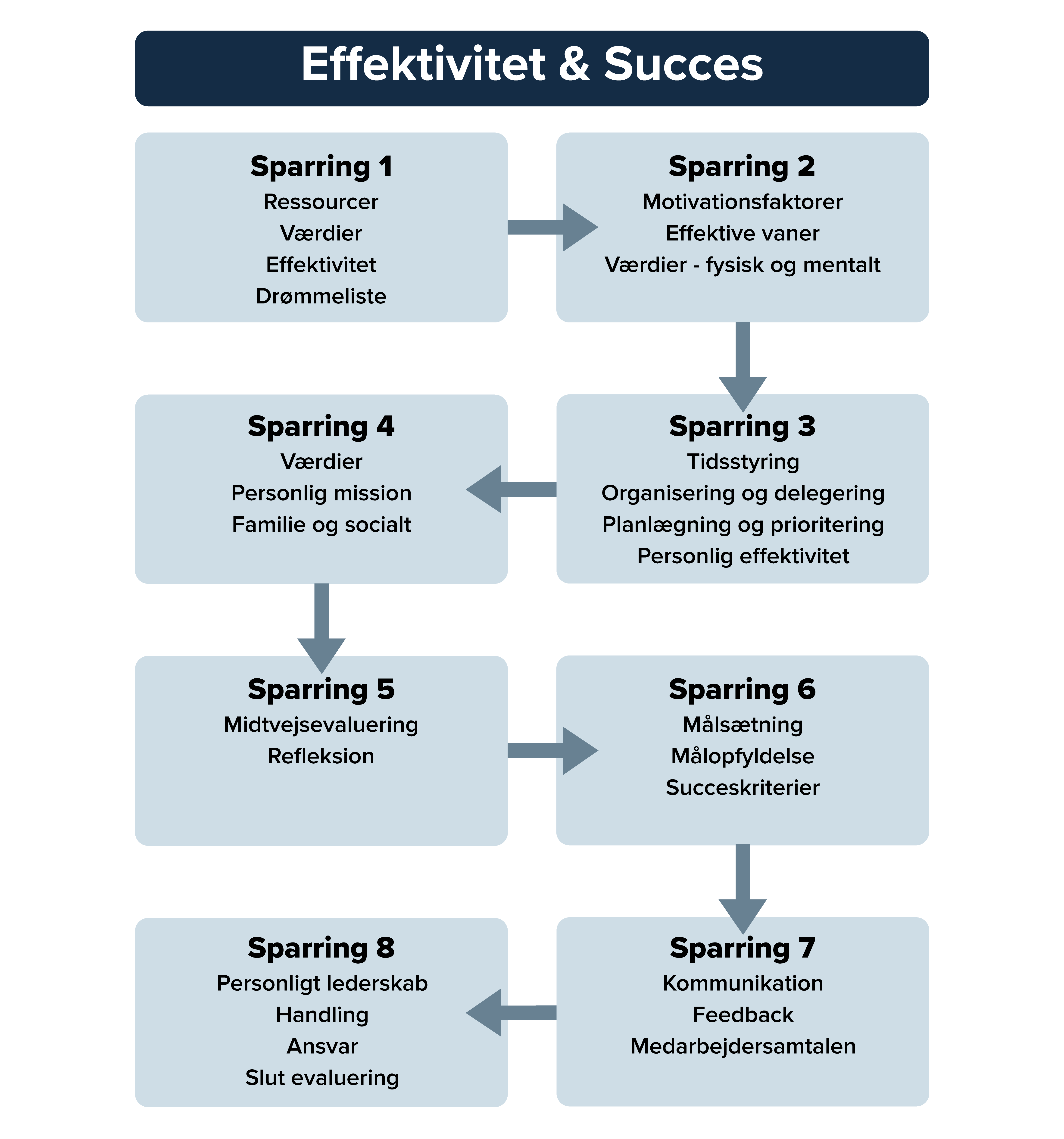 Effektivitet & Succes inforgrafik over sparringsforløb